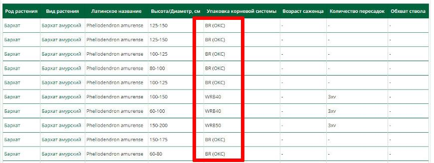 колонка «Упаковка корневой системы» в прайсе питомника: BR (ОКС), WRB40, WRB50